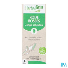 Afbeelding in Gallery-weergave laden, Herbalgem Rode Bosbes Bio 30ml