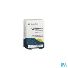 Load image into Gallery viewer, Collasense V-caps 60