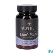 Afbeelding in Gallery-weergave laden, Pure Up Lion Mane Caps 60