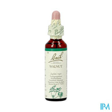 Afbeelding in Gallery-weergave laden, Bach Flower Remedie 33 Walnut 20ml