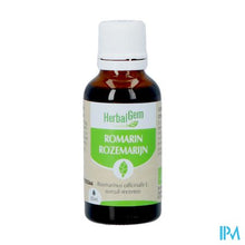 Afbeelding in Gallery-weergave laden, Herbalgem Rozemarijn Bio 30ml