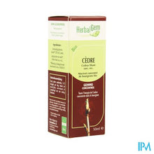 Charger l'image dans la galerie, Herbalgem Libanonceder Maceraat 50ml