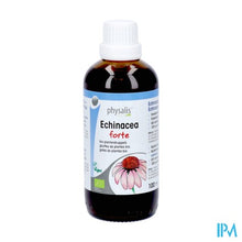 Charger l'image dans la galerie, Physalis Epf Echinacea Purpurea Bio 100ml