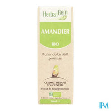 Load image into Gallery viewer, Herbalgem Amandel Maceraat 50ml