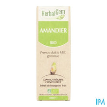 Charger l'image dans la galerie, Herbalgem Amandel Maceraat 50ml