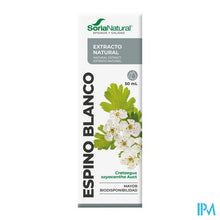 Afbeelding in Gallery-weergave laden, Soria Crataegus Oxyacantha Xxi Extr. Fl. 50ml