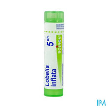 Afbeelding in Gallery-weergave laden, Lobelia Inflata 5ch Gr 4g Boiron