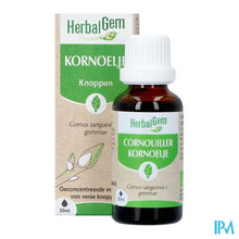 Charger l'image dans la galerie, Herbalgem Kornoelje Bio 30ml