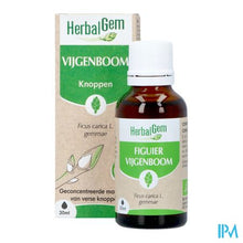 Afbeelding in Gallery-weergave laden, Herbalgem Vijgenboom Bio 30ml