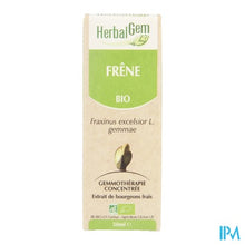 Charger l'image dans la galerie, Herbalgem Es Maceraat 50ml