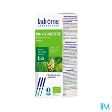 Afbeelding in Gallery-weergave laden, Ladrome Pinus Sylvestris/grove Den 50ml