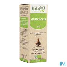 Charger l'image dans la galerie, Herbalgem Paardekastanje Maceraat 50ml