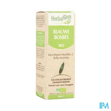 Charger l'image dans la galerie, Herbalgem Blauwe Bosbes Maceraat 50ml
