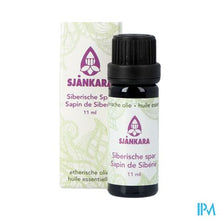 Load image into Gallery viewer, Sjankara Spar, Siberische Etherisch Olie 11ml