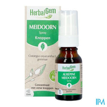 Charger l'image dans la galerie, Herbalgem Meidoorn Bio Spray 15ml