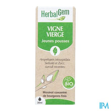 Afbeelding in Gallery-weergave laden, Herbalgem Wilde Wingerd Bio 30ml