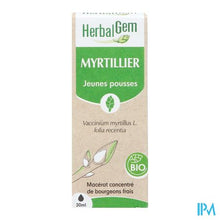 Load image into Gallery viewer, Herbalgem Blauw Bosbes Bio 30ml