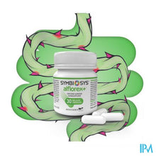 Afbeelding in Gallery-weergave laden, Alflorex+ Symbiosys Caps 30