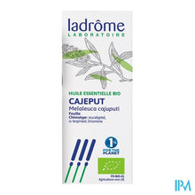 Afbeelding in Gallery-weergave laden, Ladrome Melaleuca Leucadendron/cajeput 10ml