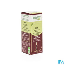 Charger l'image dans la galerie, Herbalgem Bergden Maceraat 15ml