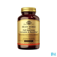 Afbeelding in Gallery-weergave laden, Solgar Brain Works Pot V-caps 60