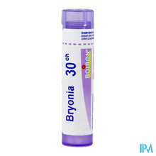 Load image into Gallery viewer, Bryonia 30ch Gr 4g Boiron