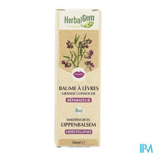 Charger l'image dans la galerie, Herbalgem Balsem Lip Smeerwortel Bio 10ml
