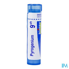 Afbeelding in Gallery-weergave laden, Pyrogenium 9ch Gr 4g Boiron
