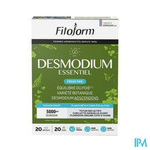 Load image into Gallery viewer, Desmodium Amp 20