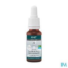 Afbeelding in Gallery-weergave laden, Bachbloesem Bio N°47 Druppels Slaap 20ml