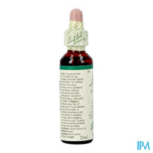 Afbeelding in Gallery-weergave laden, Bach Flower Remedie 33 Walnut 20ml