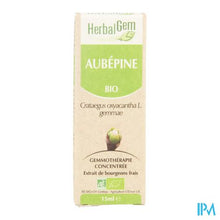 Load image into Gallery viewer, Herbalgem Meidoorn Maceraat 15ml