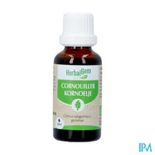 Charger l'image dans la galerie, Herbalgem Kornoelje Bio 30ml