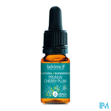 Charger l'image dans la galerie, Ladrome Kerspruim/cherry Plum 10ml
