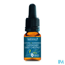 Charger l'image dans la galerie, Ladrome Tamme Kastanje/sweet Chestnut 10ml