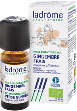 Afbeelding in Gallery-weergave laden, Ladrome Zingiber Officinalis/gember 10ml
