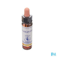 Healing Herbs Scleranthus 10ml