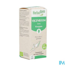 Charger l'image dans la galerie, Herbalgem Vijgenboom Bio Spray 15ml
