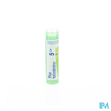 Charger l'image dans la galerie, Rhus Toxicodendron 5ch Gr 4g Boiron
