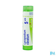 Lycopodium Clavatum 5ch Gr 4g Boiron