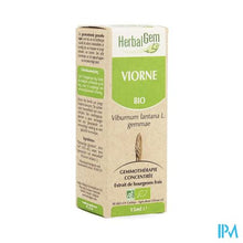 Afbeelding in Gallery-weergave laden, Herbalgem Wollige Sneeuwbal Maceraat 15ml
