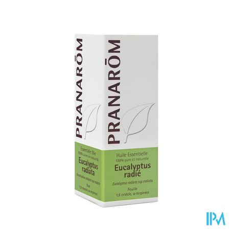 Eucalyptus Radiata Ess Olie 10ml Pranarom