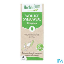Load image into Gallery viewer, Herbalgem Sneeuwbal Bio 30ml
