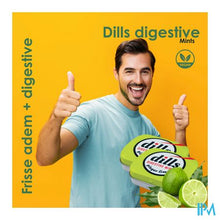Load image into Gallery viewer, Dills Ginger & Lime Mints Z/suiker 15g
