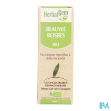 Bild in Galeriebetrachter laden, Herbalgem Heidelbeermazerat 50ml
