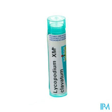 Charger l'image dans la galerie, Lycopodium Clavatum Xmk Gr 4g Boiron
