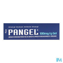 Charger l'image dans la galerie, Pangel 10 % Gel 60g
