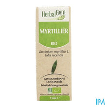 Charger l'image dans la galerie, Herbalgem Blauwe Bosbes Maceraat 15ml
