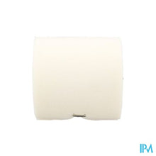 Charger l'image dans la galerie, Rosidal Sc 10cmx3,5m 33503
