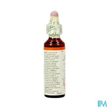 Load image into Gallery viewer, Bach Flower Remedie 06 Cherry Plum 20ml
